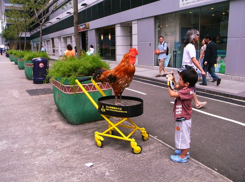 Chicken road casino, chicken road spel
